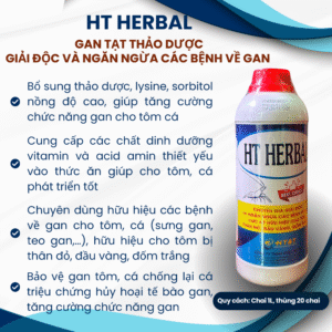 HT HERBAL