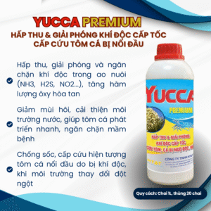 YUCCA PREMIUM