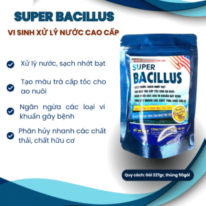SUPER BACILLUS