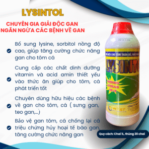 LYSINTOL