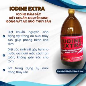 IODINE EXTRA